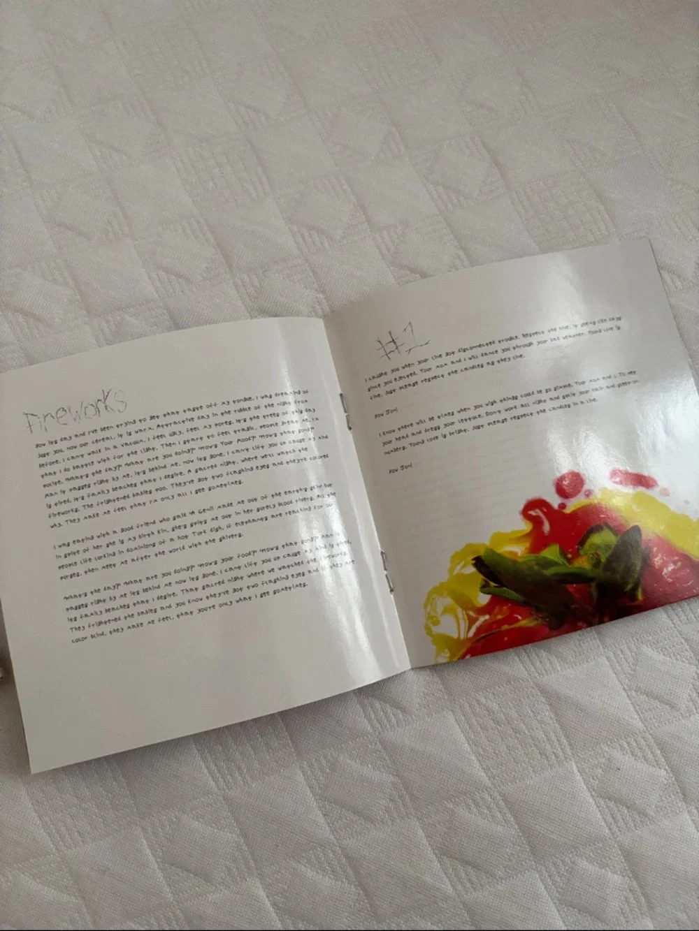 Animal Collective “Strawberry Jam” CD booklet - Picture 5 of 5